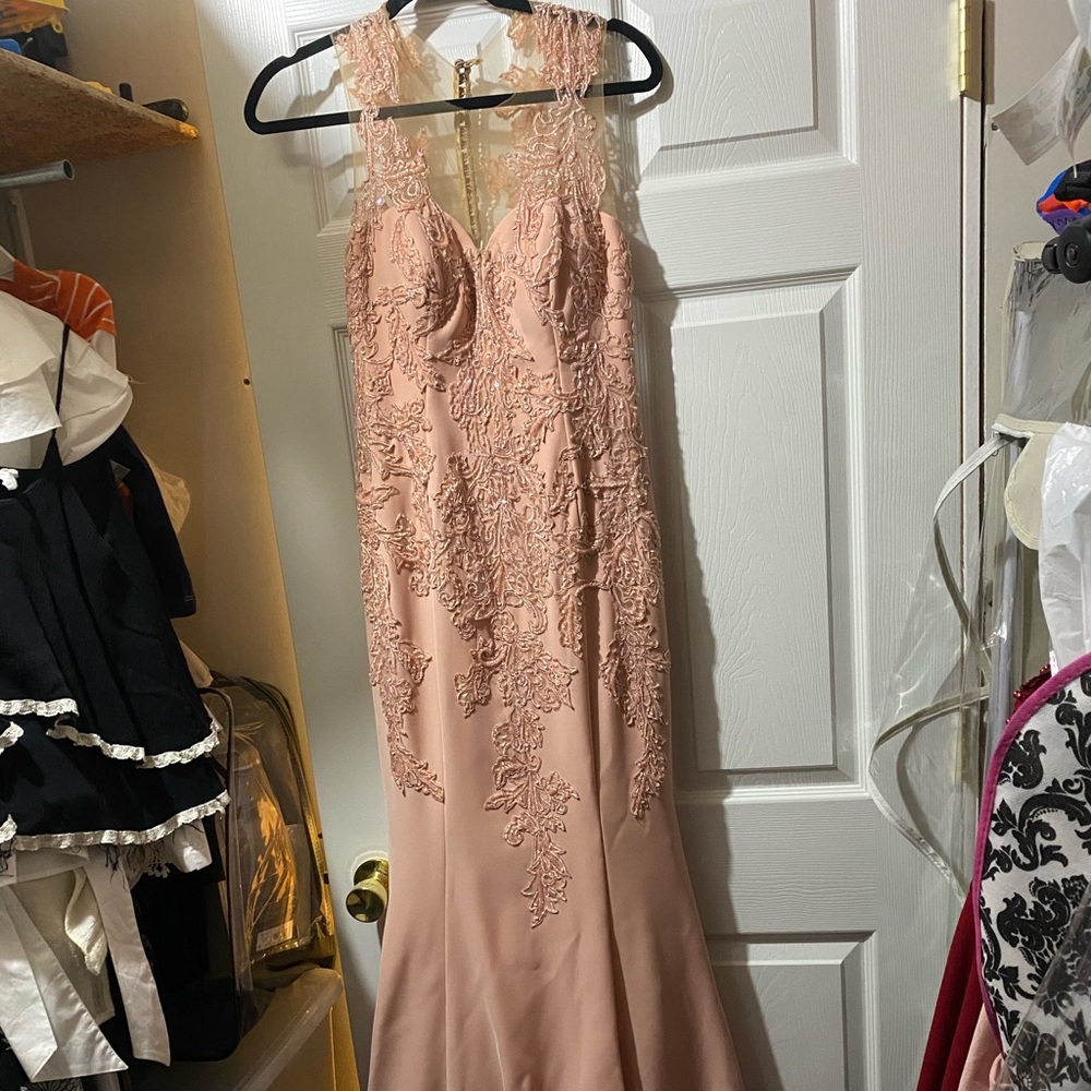 Size 4 Blush custom gown